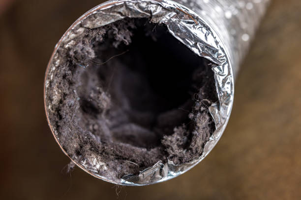 Best Affordable Duct Cleaning Services  in Golf Manor, OH
